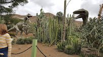 Jurupa Mountains Discovery Center photo 3