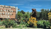 Jurupa Mountains Discovery Center photo 5
