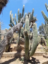 Jurupa Mountains Discovery Center photo 6