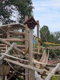 Great Apes at Hogle photo 5