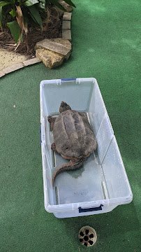 Heron's Cove Adventure Golf photo 5