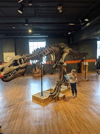 Museum of Discovery photo 5