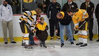 Hollydell Ice Arena photo 4