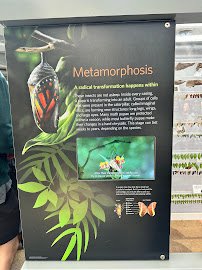 Gulf of the Farallones Aquarium photo 3