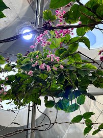 Gulf of the Farallones Aquarium photo 5