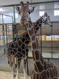 Boulder Ridge Wild Animal Park photo 3