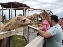 Boulder Ridge Wild Animal Park photo 4