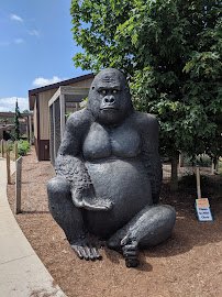 Boulder Ridge Wild Animal Park photo 5