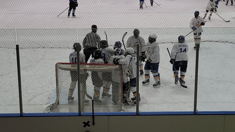 Anthony J. Crisafulli Ice Rink photo 5