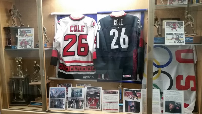 Anthony J. Crisafulli Ice Rink photo 6