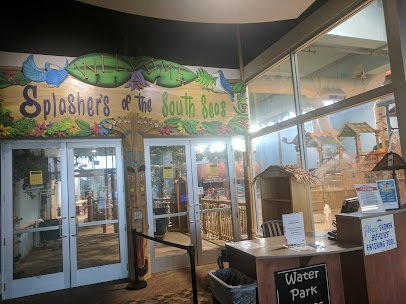 Splashers of the South Seas photo 4