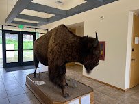 World Museum of Natural History