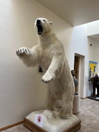 World Museum of Natural History photo 2