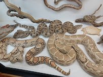 World Museum of Natural History photo 4