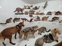 World Museum of Natural History photo 5