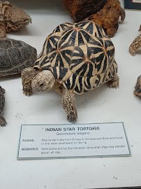 World Museum of Natural History photo 6