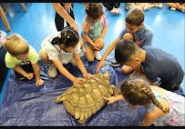 Wild Side Zoo photo 5