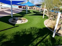 Celebrity Greens Phoenix photo 6