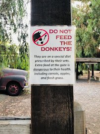 Barron Park Donkeys photo 4