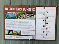 Barron Park Donkeys photo 6
