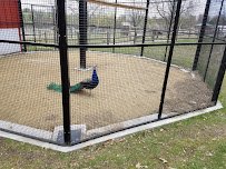 Barnyard Zoo photo 3