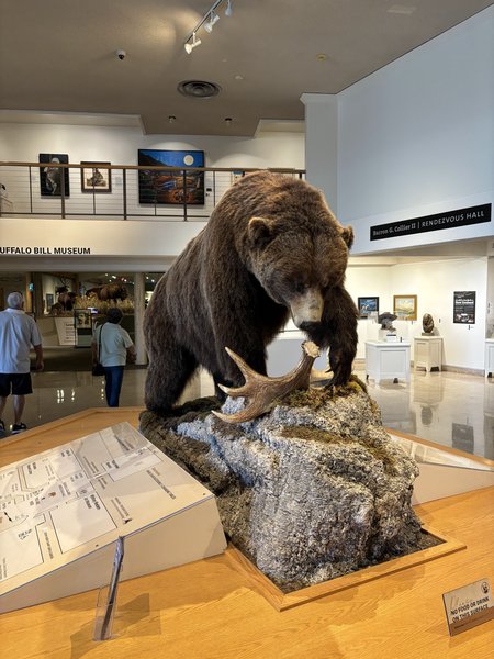 Buffalo Bill Center of the West photo 3