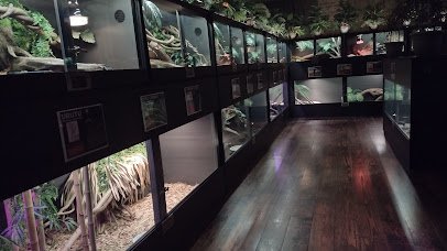 The Serpent Center