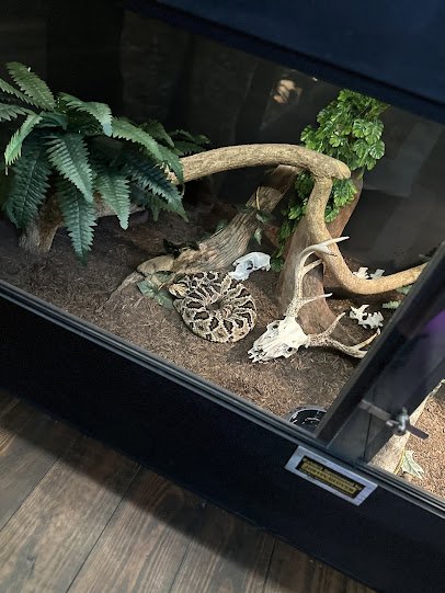 The Serpent Center photo 3