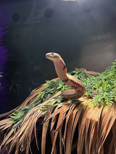 The Serpent Center photo 6