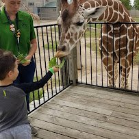 Tanganyika Wildlife Park photo 6