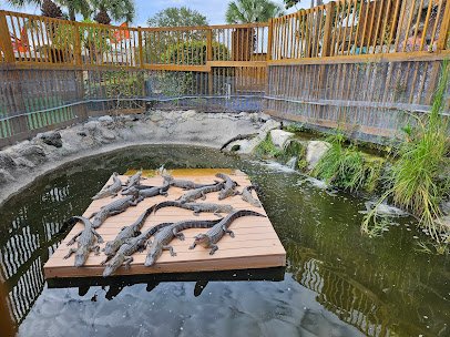 Smugglers Cove Adventure Golf photo 6