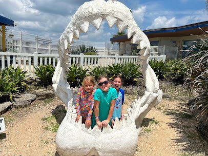 Marineland Dolphin Adventure photo 3