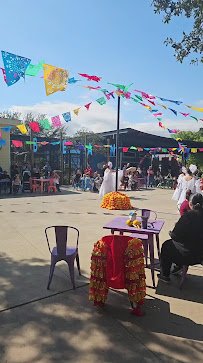 Nelson Splash photo 2