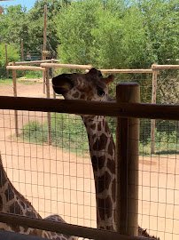 Nelson Splash photo 3