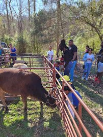 Barefoot Creek Farm photo 3