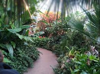 Luthy Botanical Garden photo 4