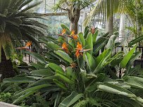 Luthy Botanical Garden photo 6