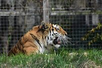 Peoria Zoo photo 6