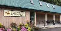 Appalachian Rivers Aquarium