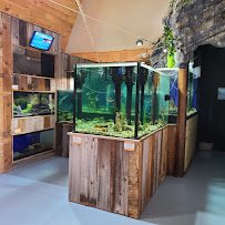 Appalachian Rivers Aquarium photo 4