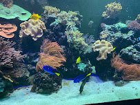 Zoological Society Of Pittsburgh