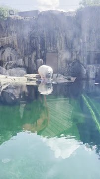 Zoological Society Of Pittsburgh photo 2