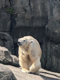 Zoological Society Of Pittsburgh photo 3