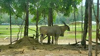 Aloha Zoo photo 2