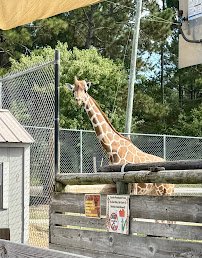 Aloha Zoo photo 3