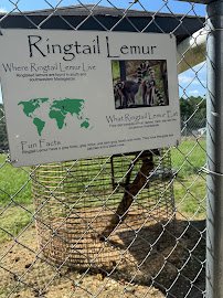 Aloha Zoo photo 6
