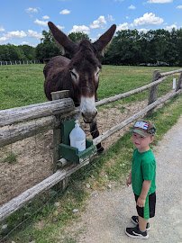 Critter Lane Petting Zoo photo 4