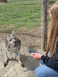 Critter Lane Petting Zoo photo 5