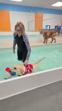 Caninballz Indoor Dog Waterpark