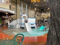 Crawdaddy Cove Indoor Water Park photo 3